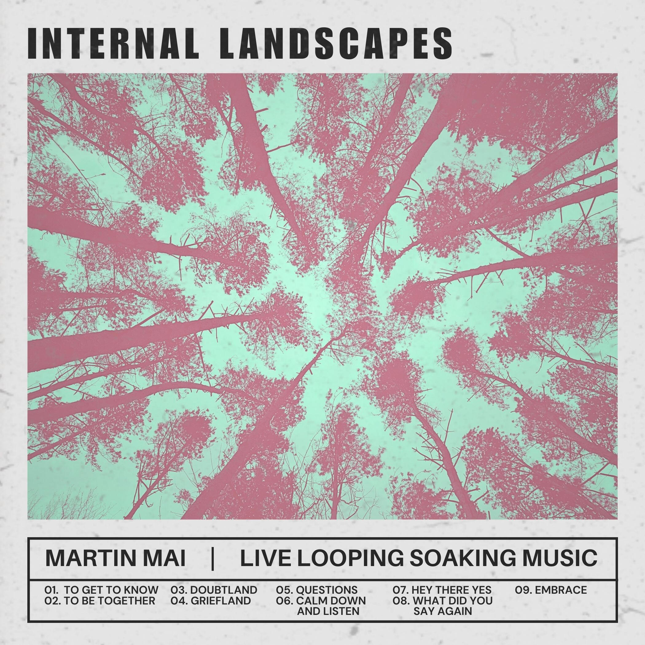 Internal Landscapes by Martin Mai - Album Cover